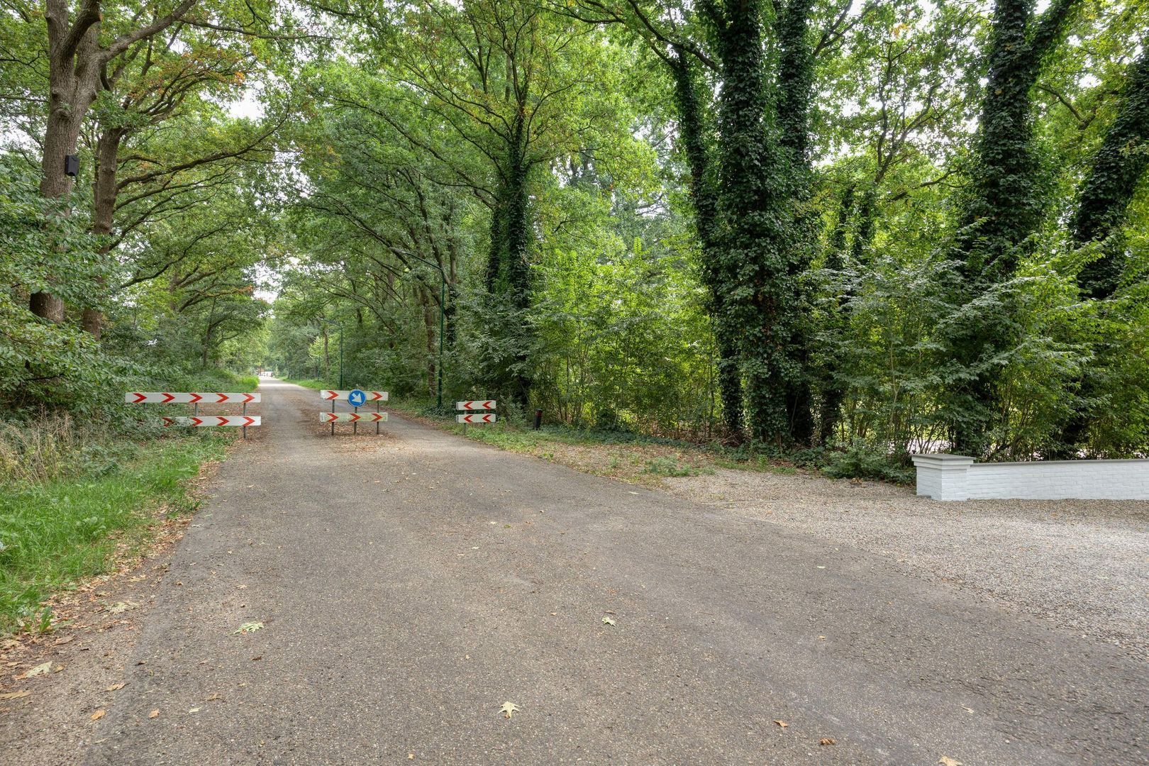 Kranenhofscheweg 1, Escharen foto-94