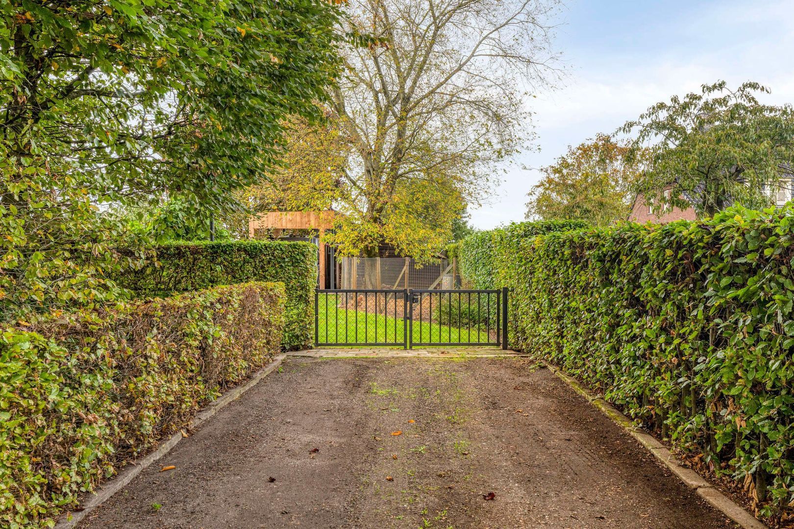 Elzen 4, Boekel foto-53