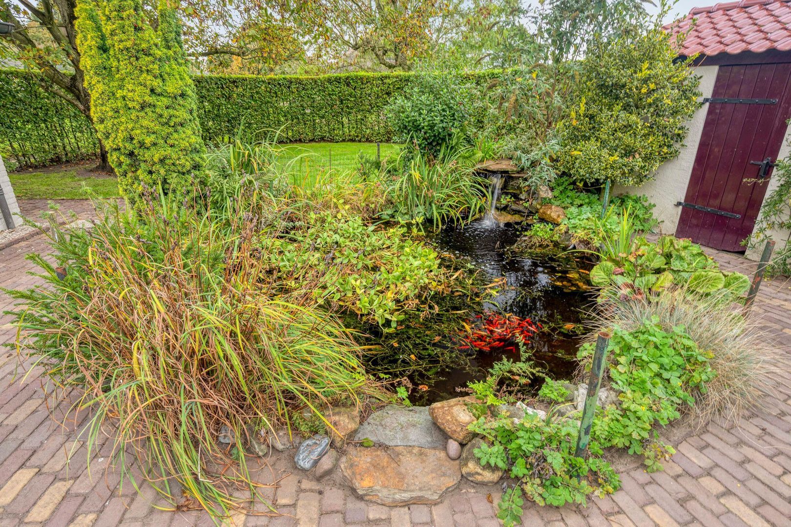 Elzen 4, Boekel foto-68