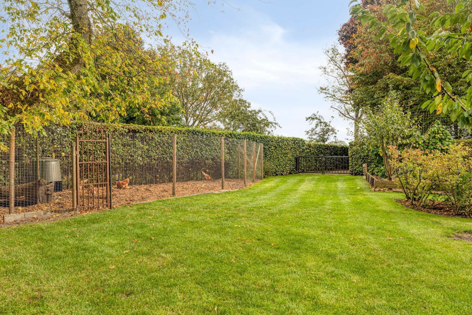 Elzen 4, Boekel foto-62