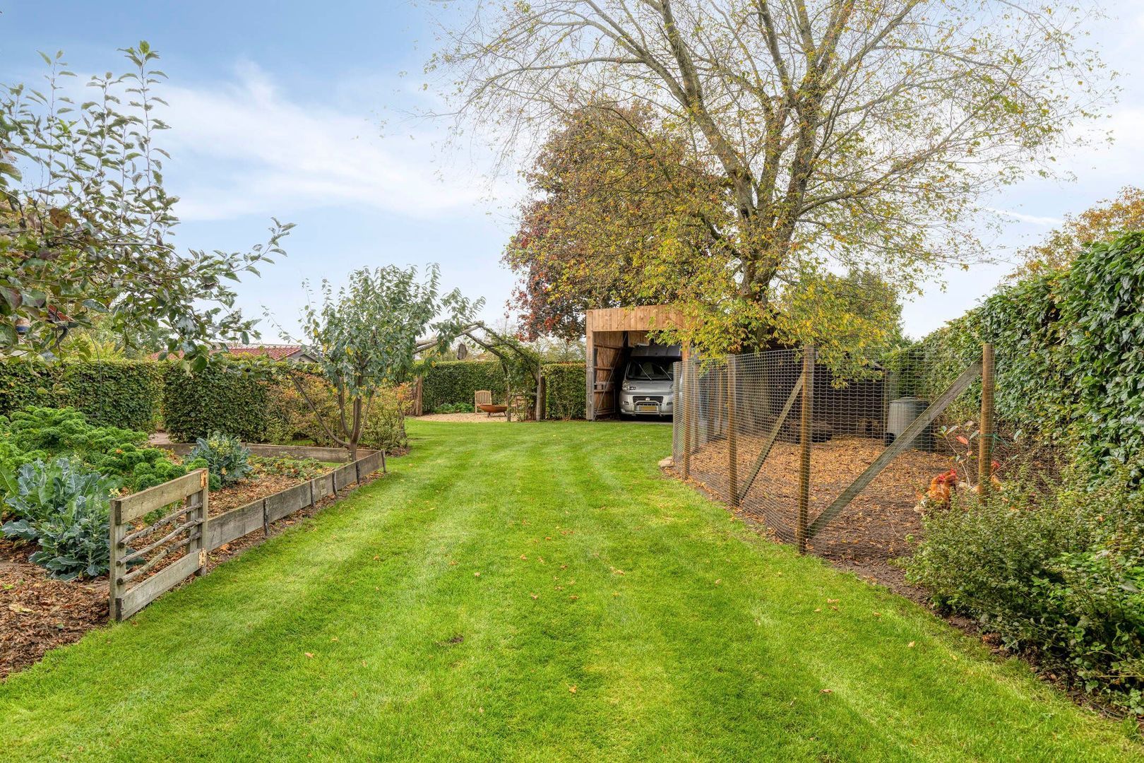 Elzen 4, Boekel foto-54