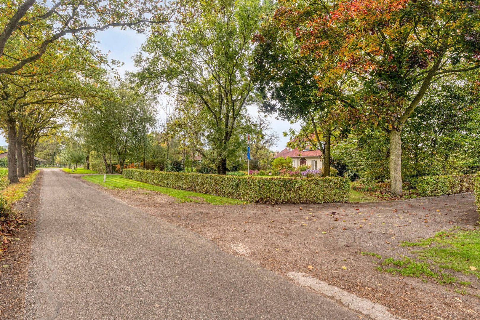 Elzen 4, Boekel foto-77