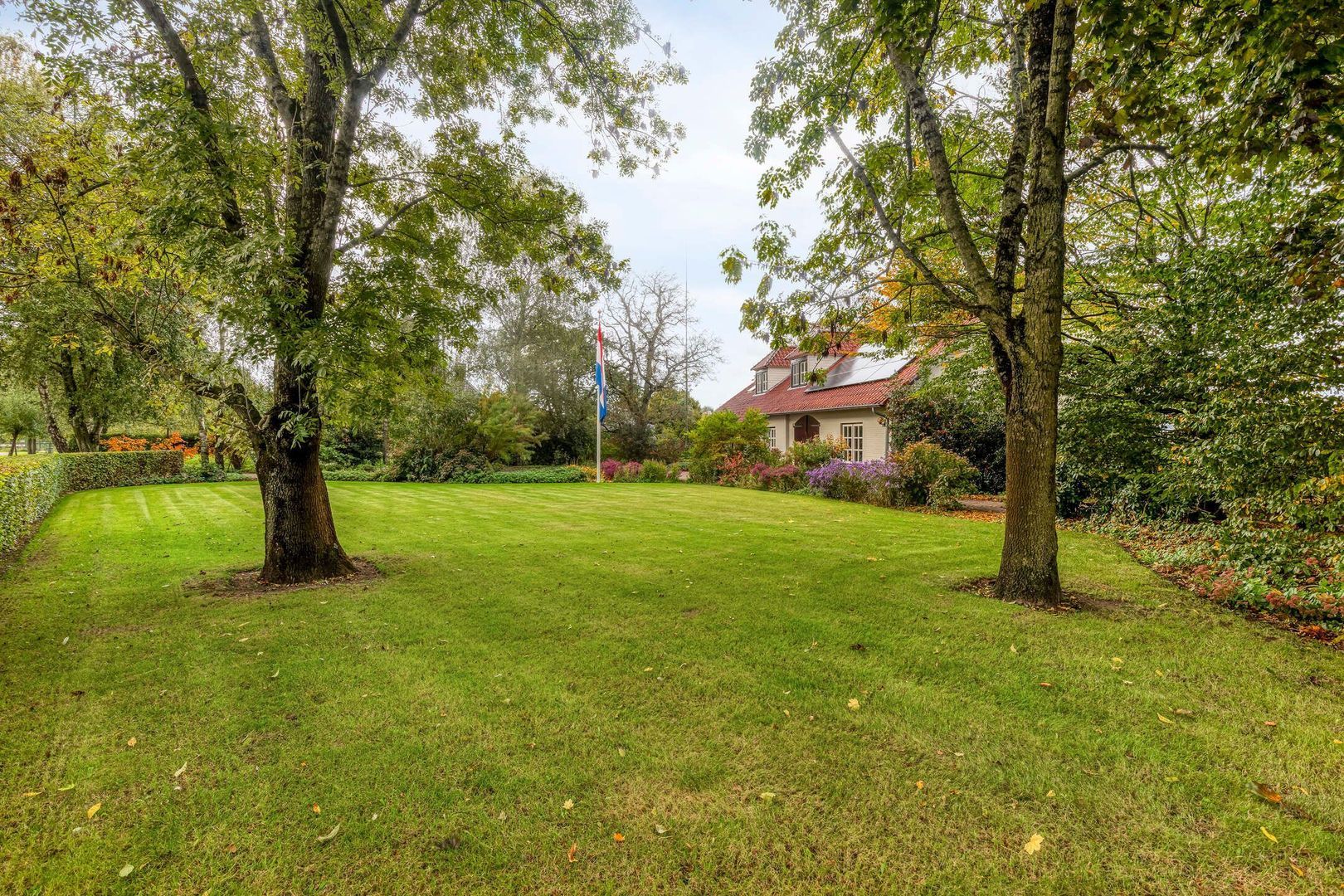 Elzen 4, Boekel foto-49