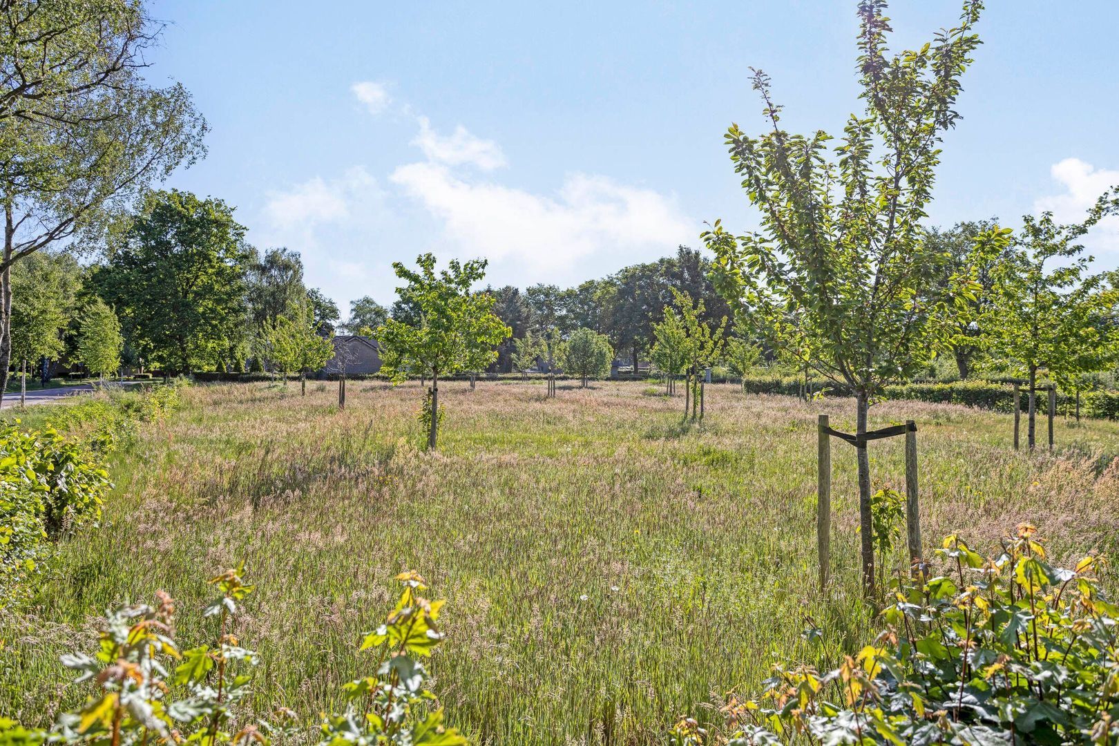 Morgenweg 59, Uden foto-54