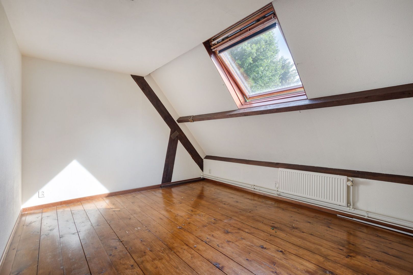 Kranenhofscheweg 1, Escharen foto-80