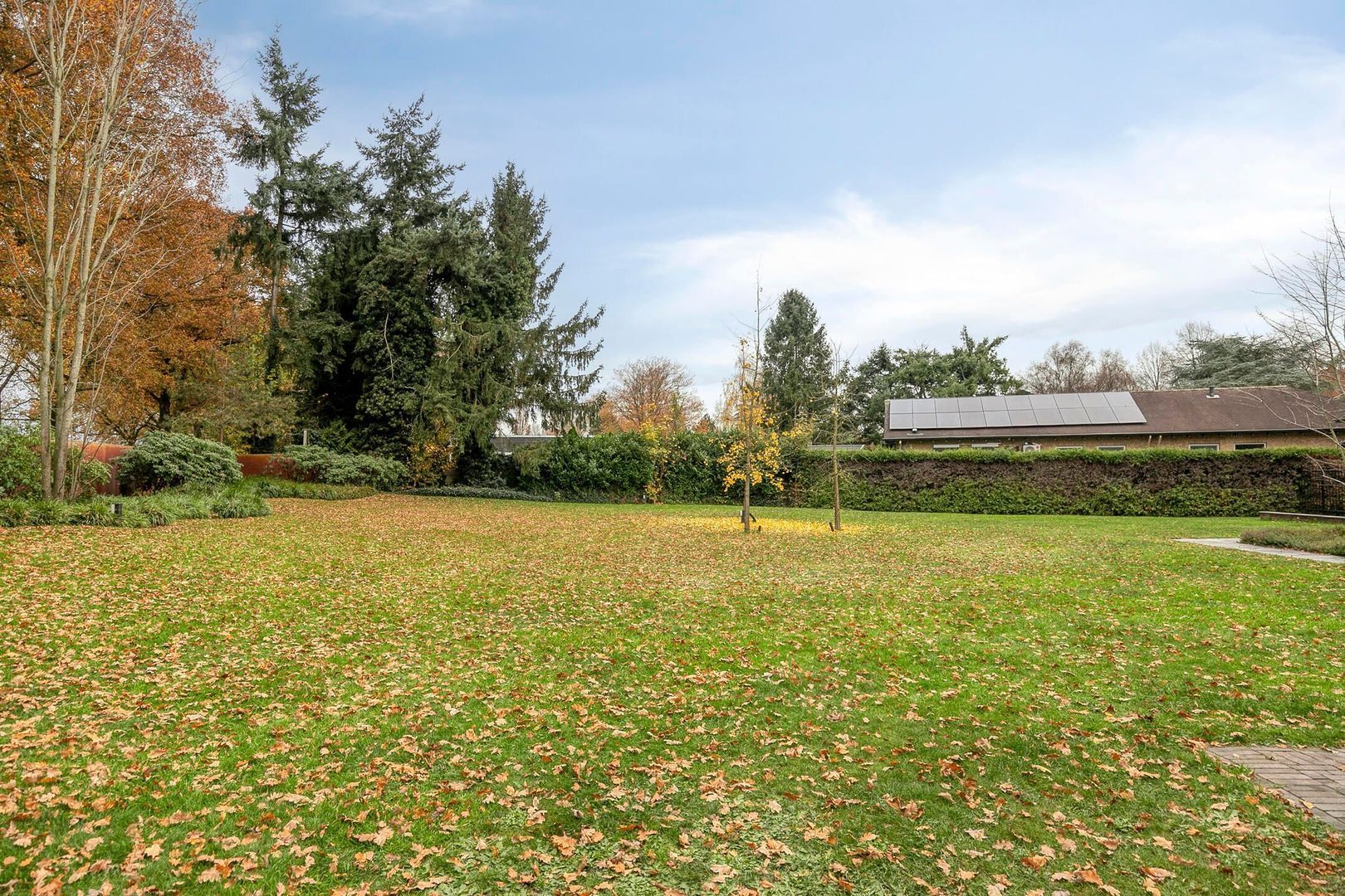 Hezelaarstraat 85, Veghel foto-41