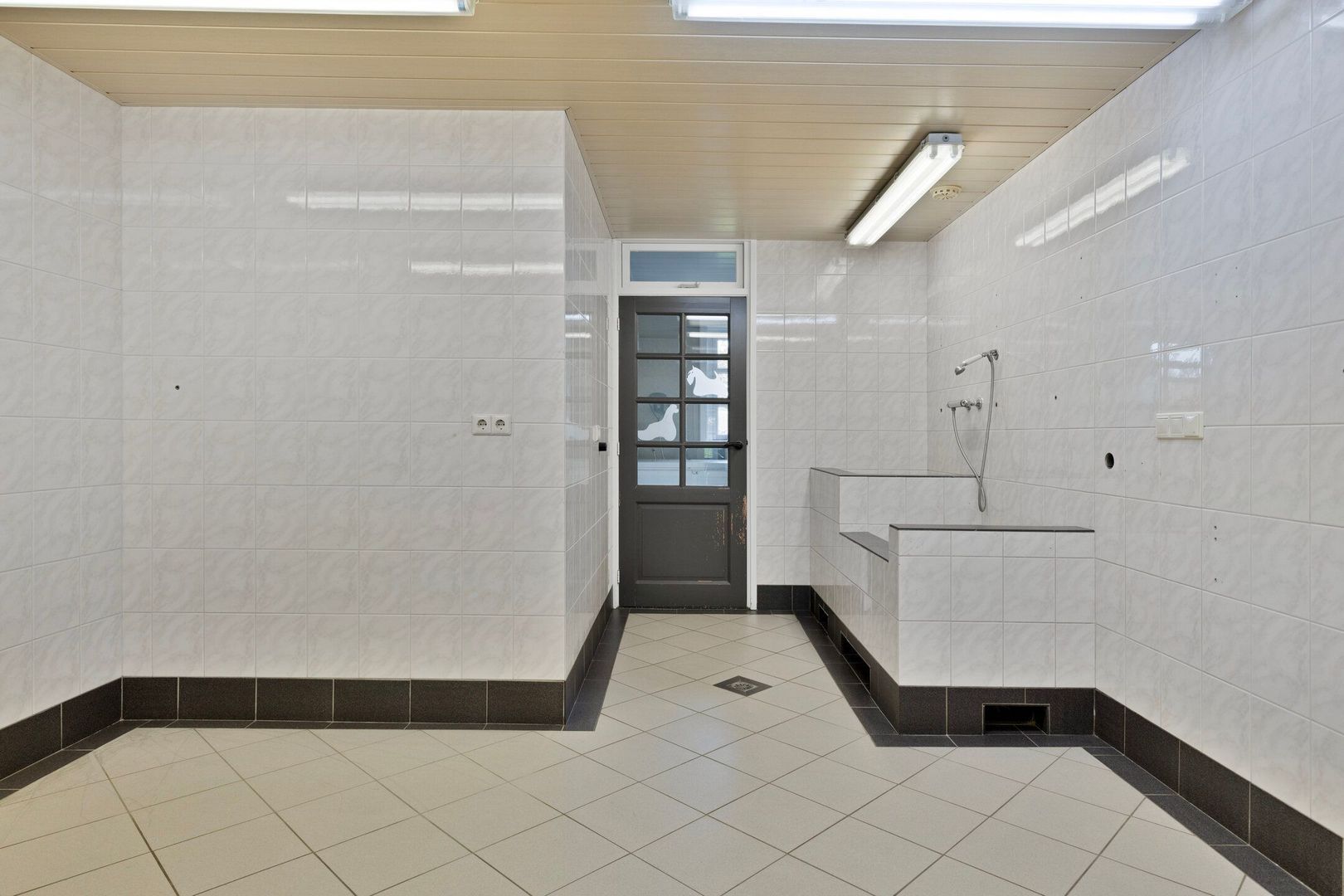 Elzen 4, Boekel foto-27