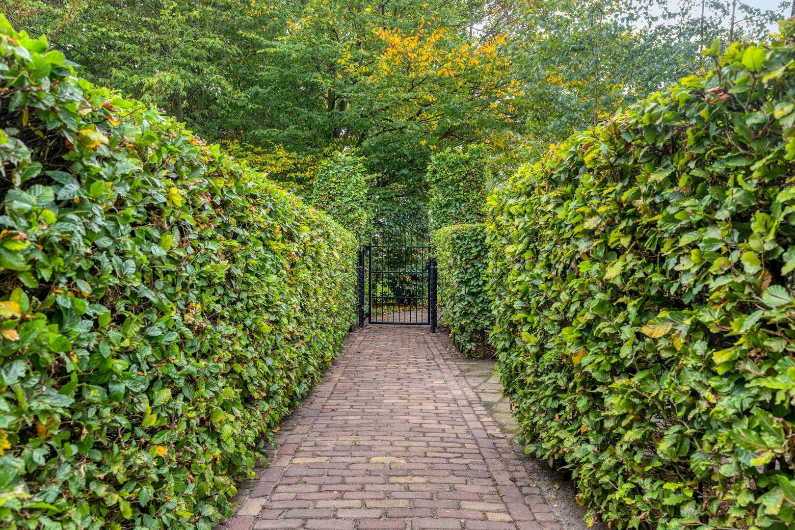 Elzen 4, Boekel foto-65