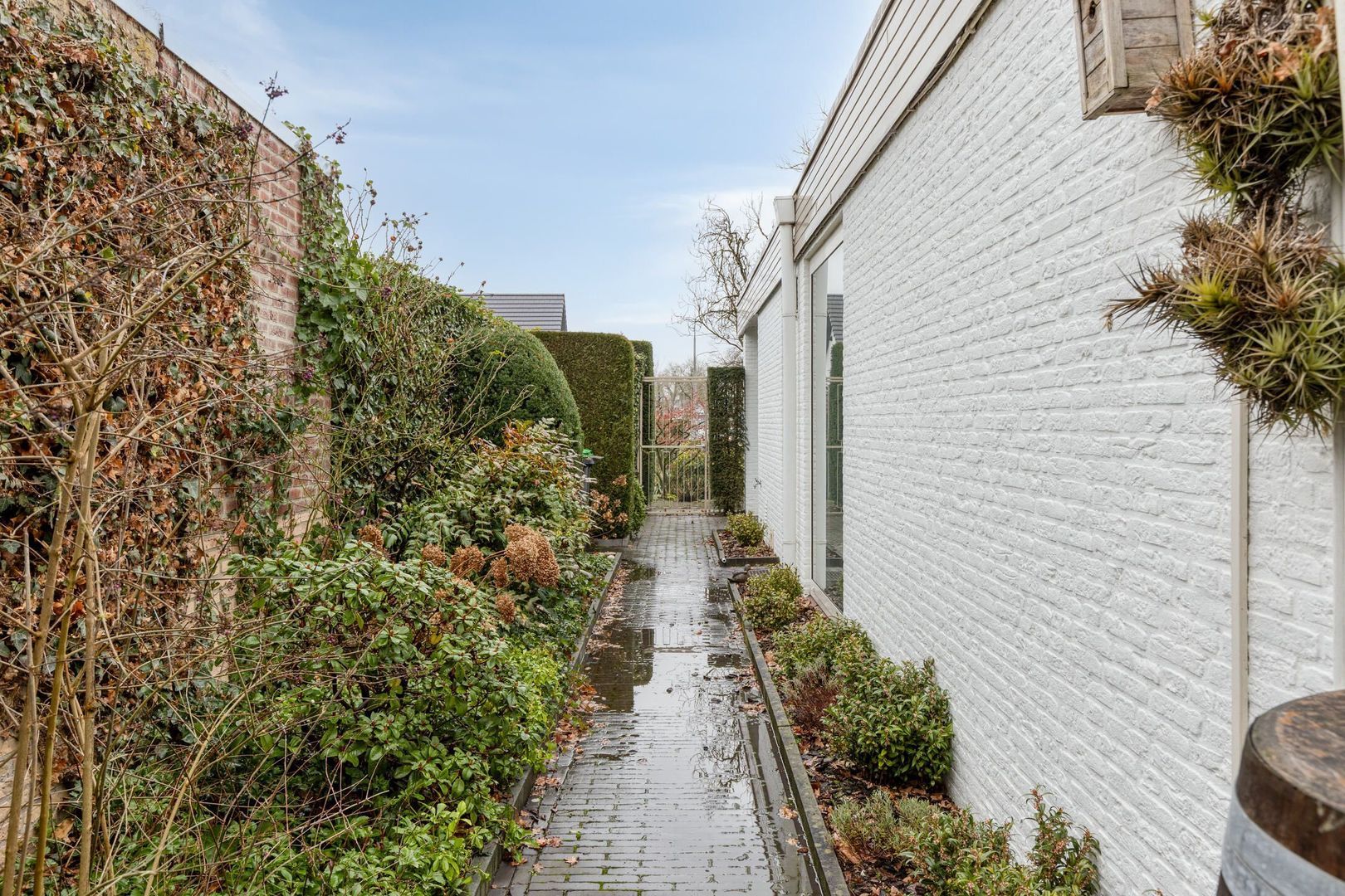 Millsebaan 65, Uden foto-39