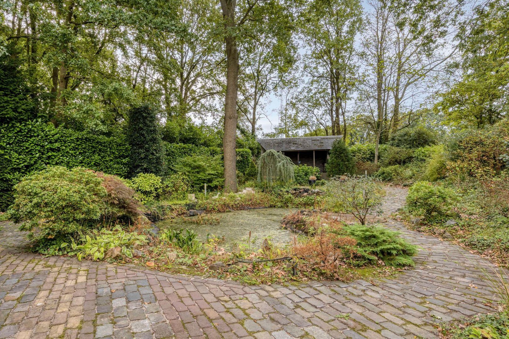 Millsebaan 65, Uden foto-44