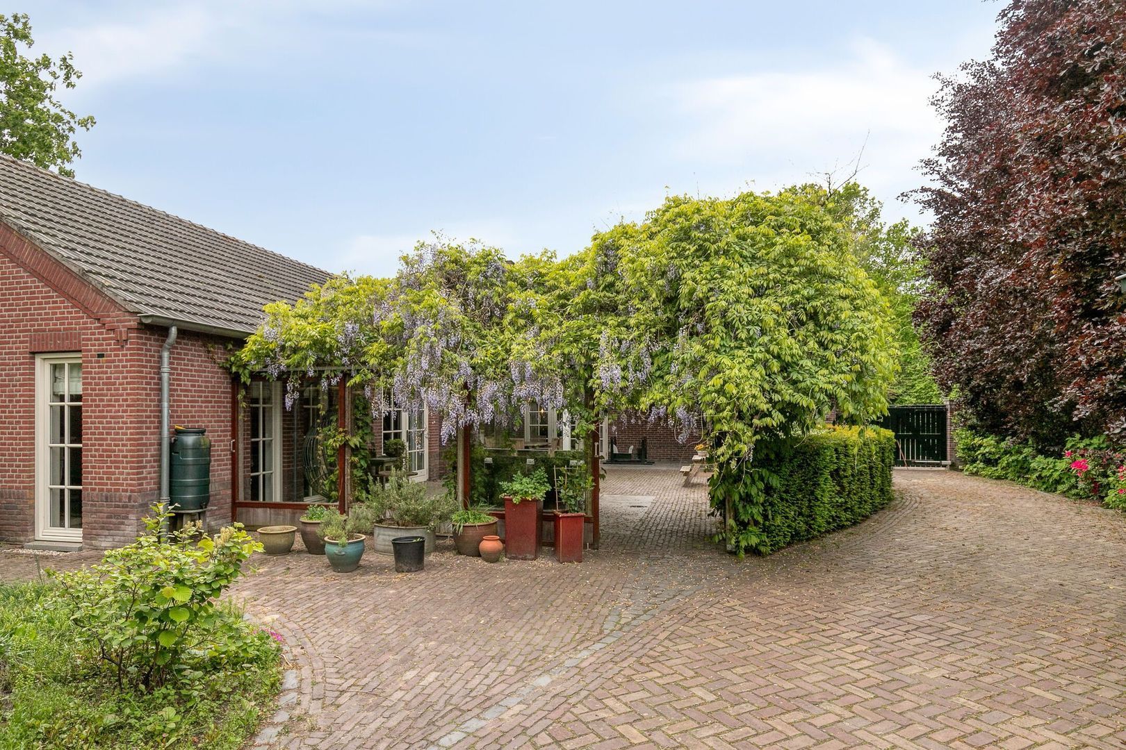 Boekelsedijk 11, Zeeland foto-51