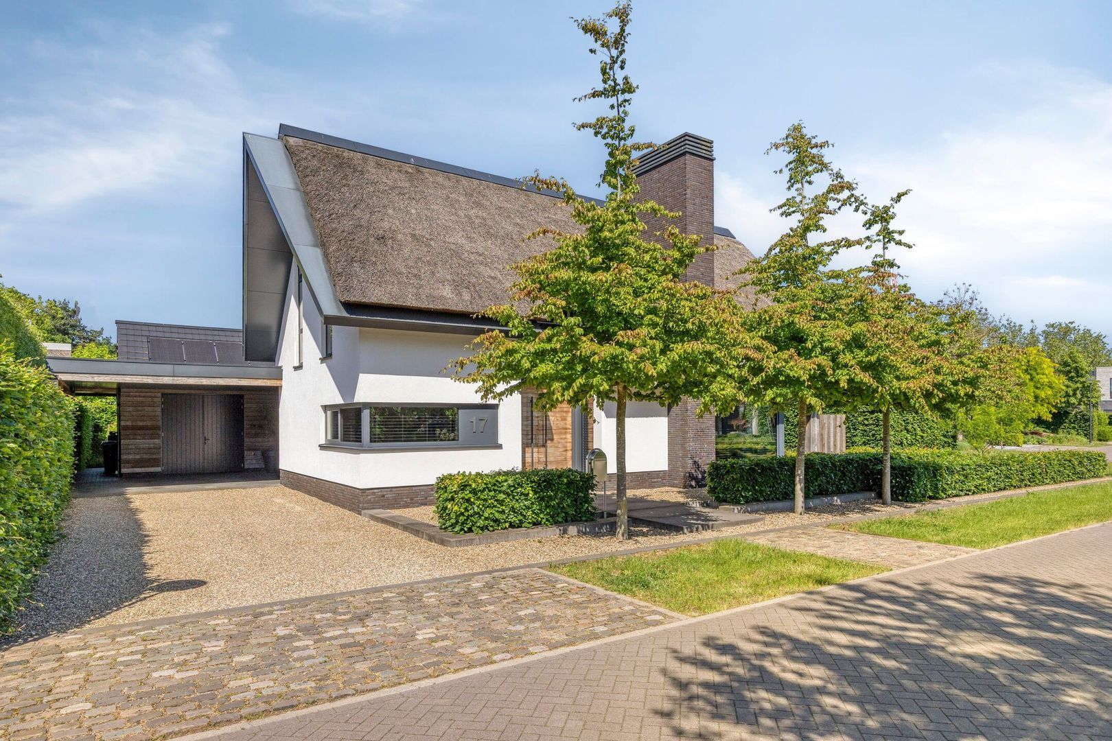 Klein Hoefblad 17, Uden foto-0