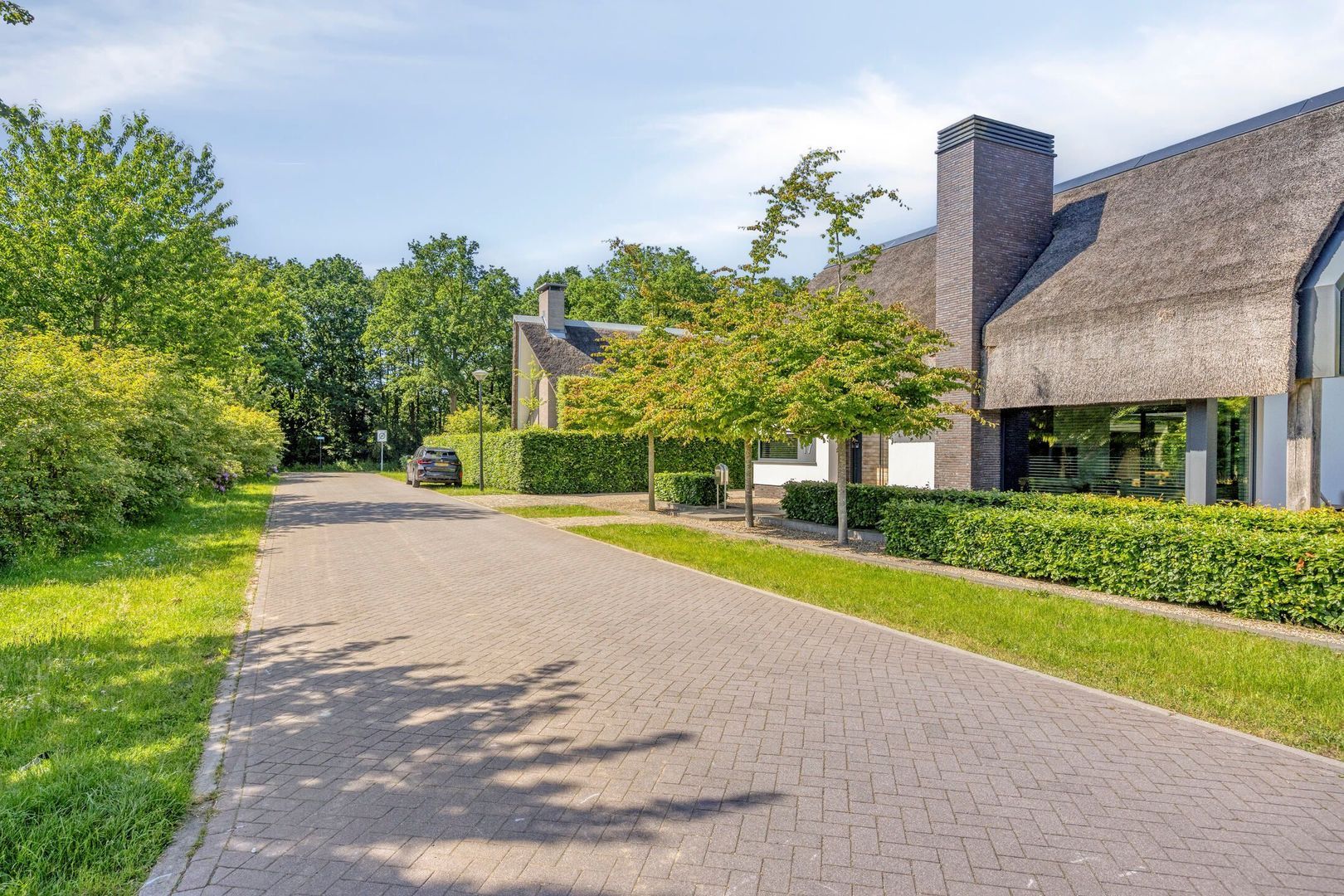 Klein Hoefblad 17, Uden foto-74