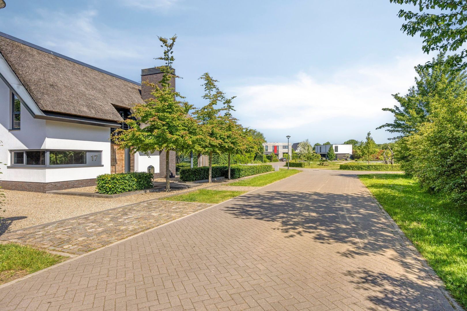 Klein Hoefblad 17, Uden foto-73