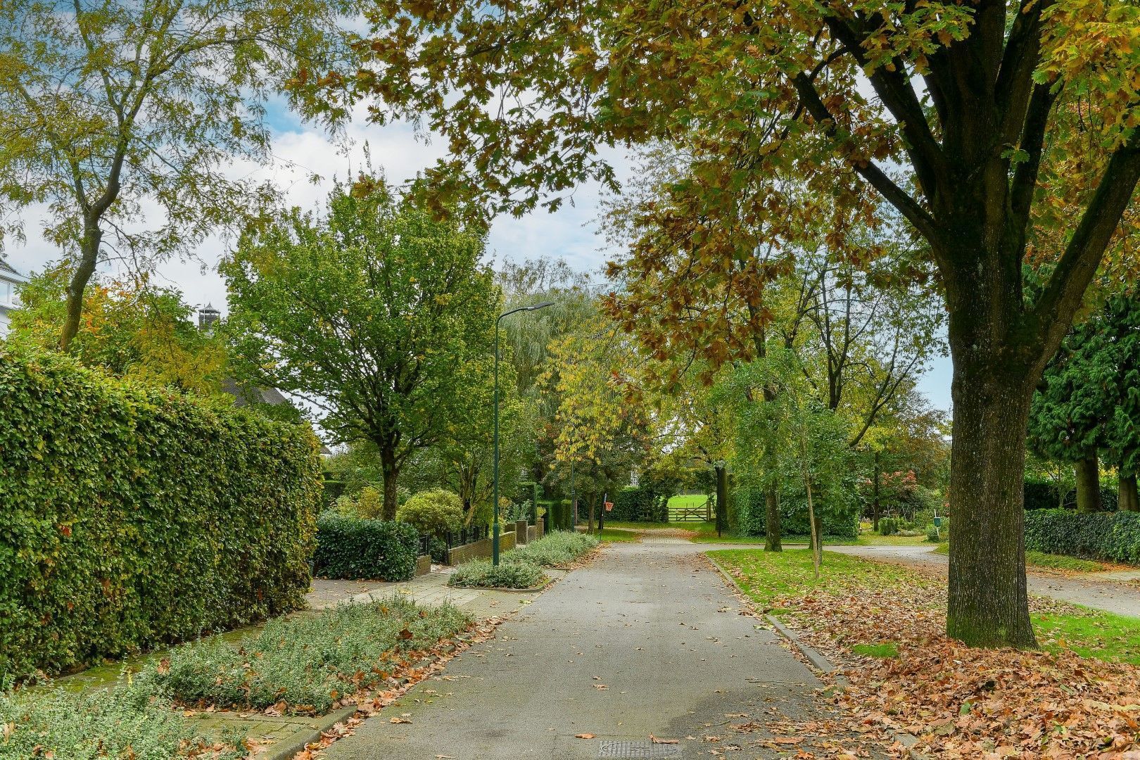 Borgerweg 2, Oosterbeek foto-7