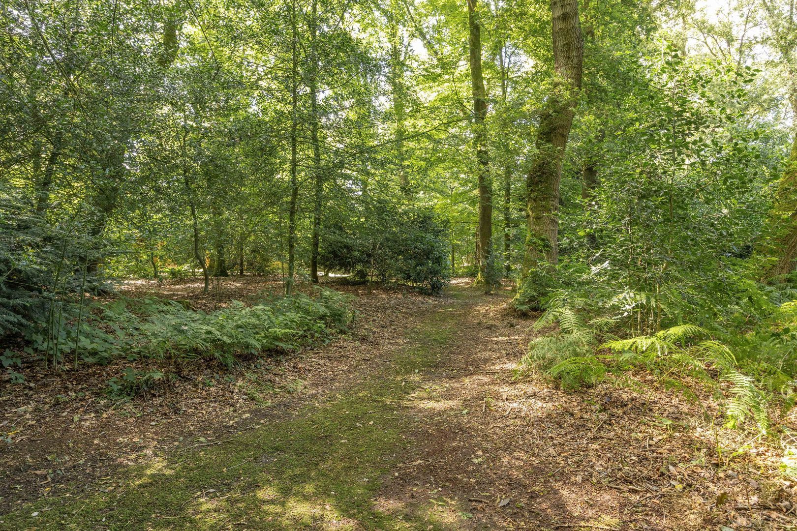 Italiaanseweg 5, Doorwerth foto-43