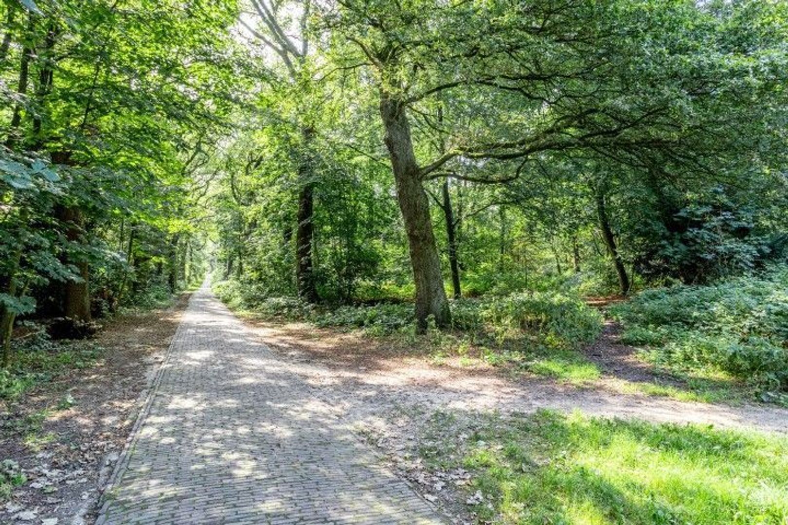 Oude Oosterbeekseweg 28, Doorwerth foto-64