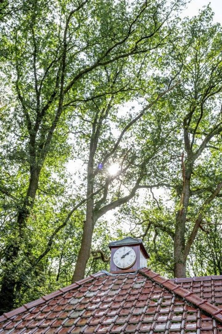 Oude Oosterbeekseweg 28, Doorwerth foto-57