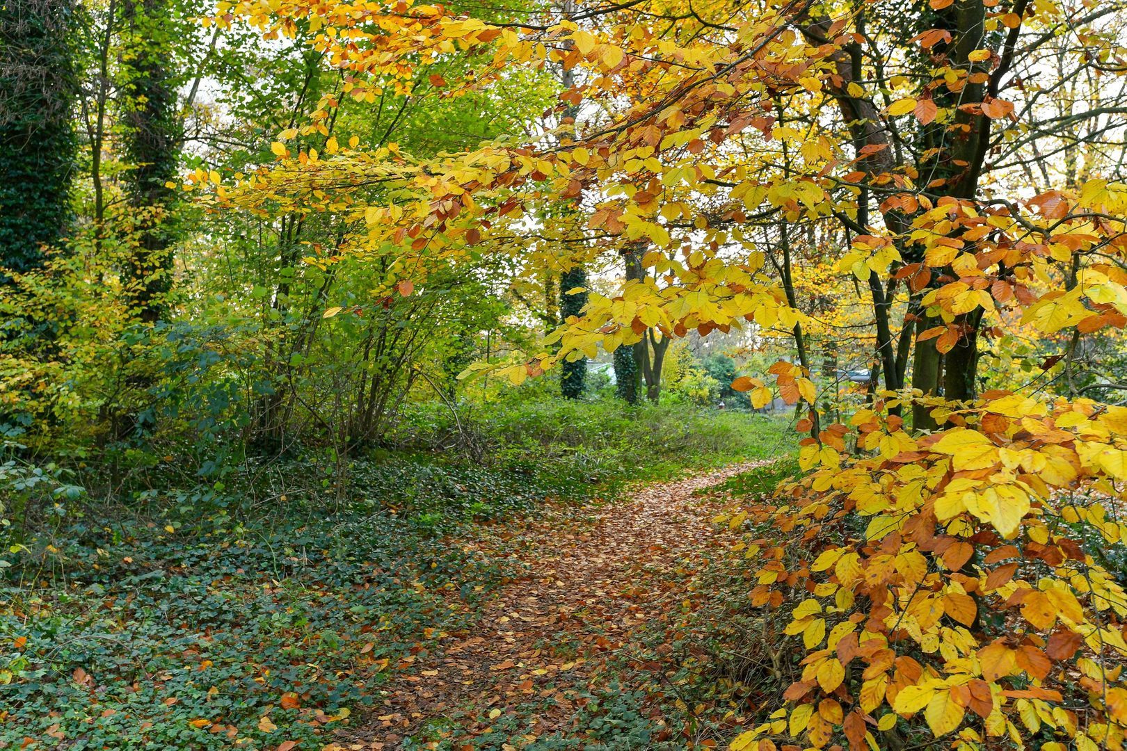 Bernadottelaan 24, Doorwerth foto-49