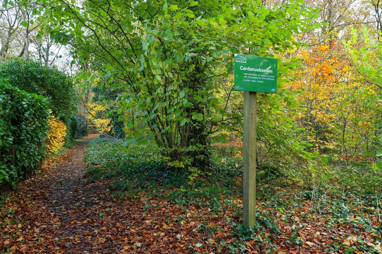 Bernadottelaan 24, Doorwerth foto-48