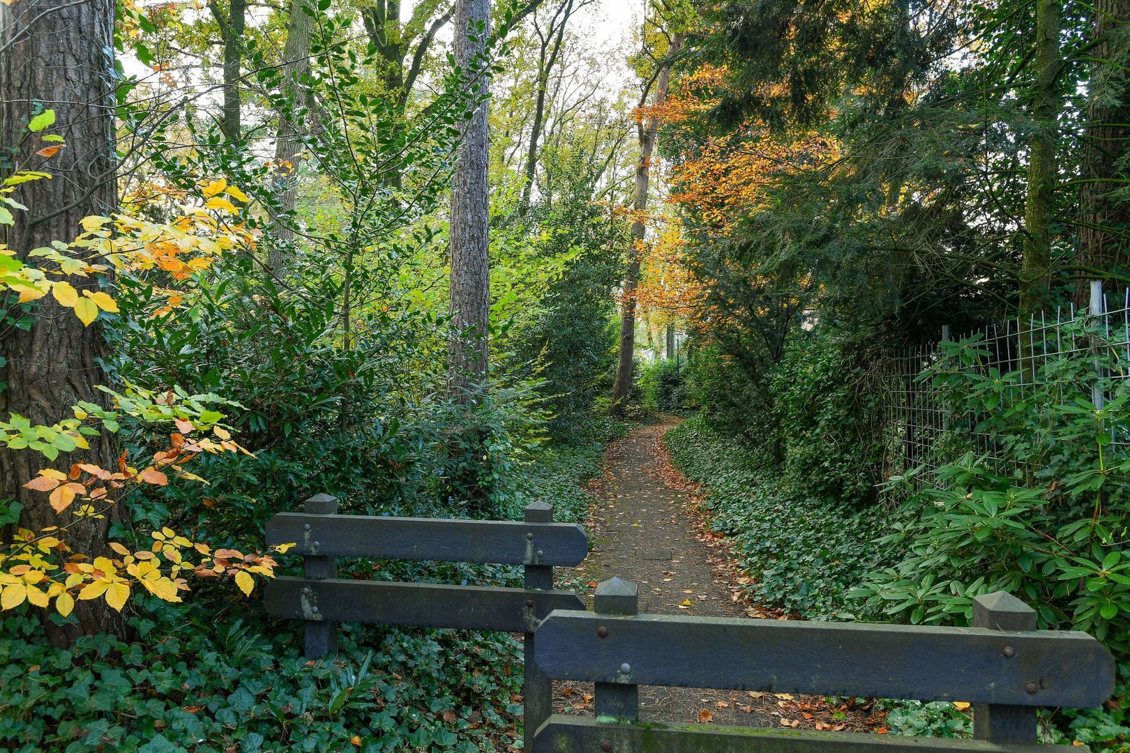 Bernadottelaan 24, Doorwerth foto-47