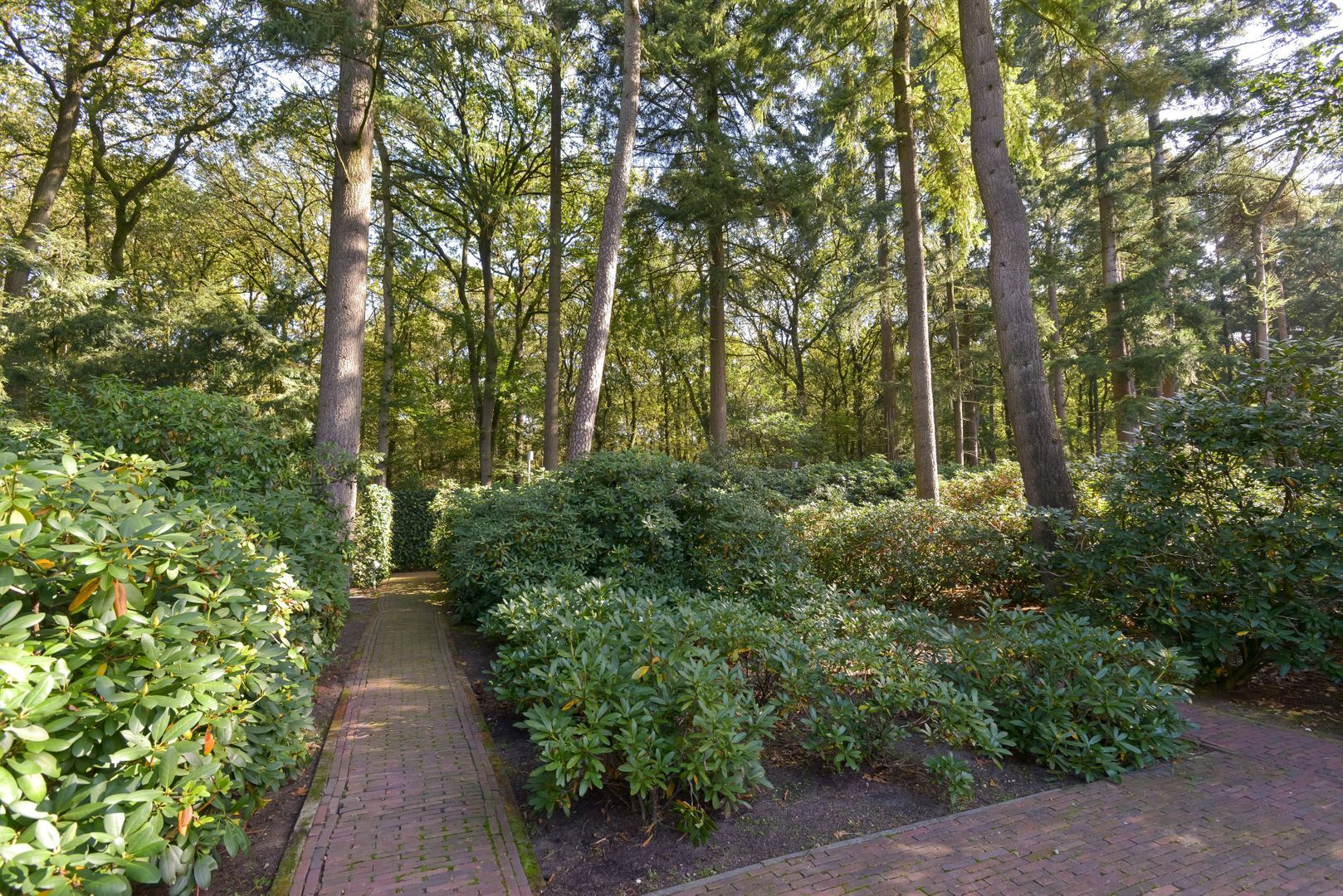 Wolfhezerweg 9 A, Oosterbeek foto-52