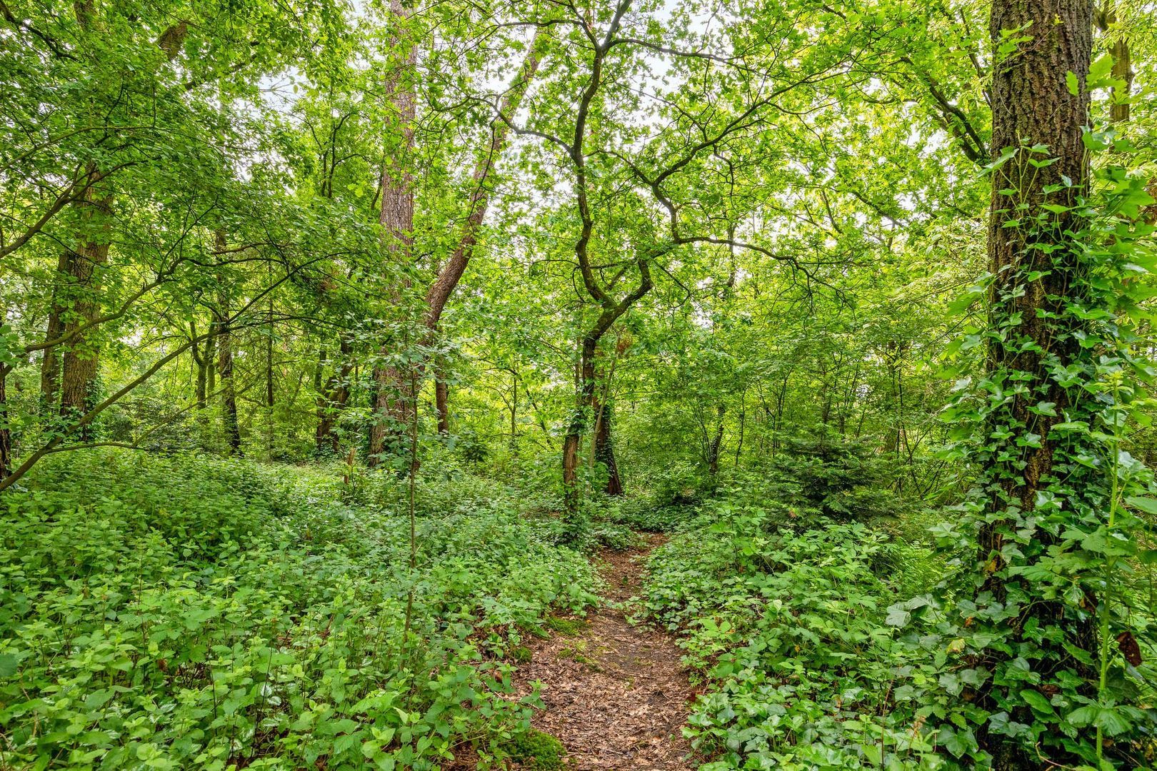 Utrechtseweg 9 A, Heelsum foto-49