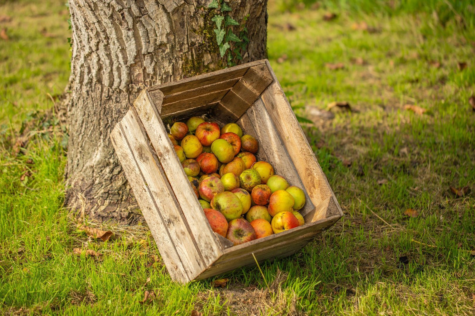 Veerweg 2, Oosterbeek foto-60