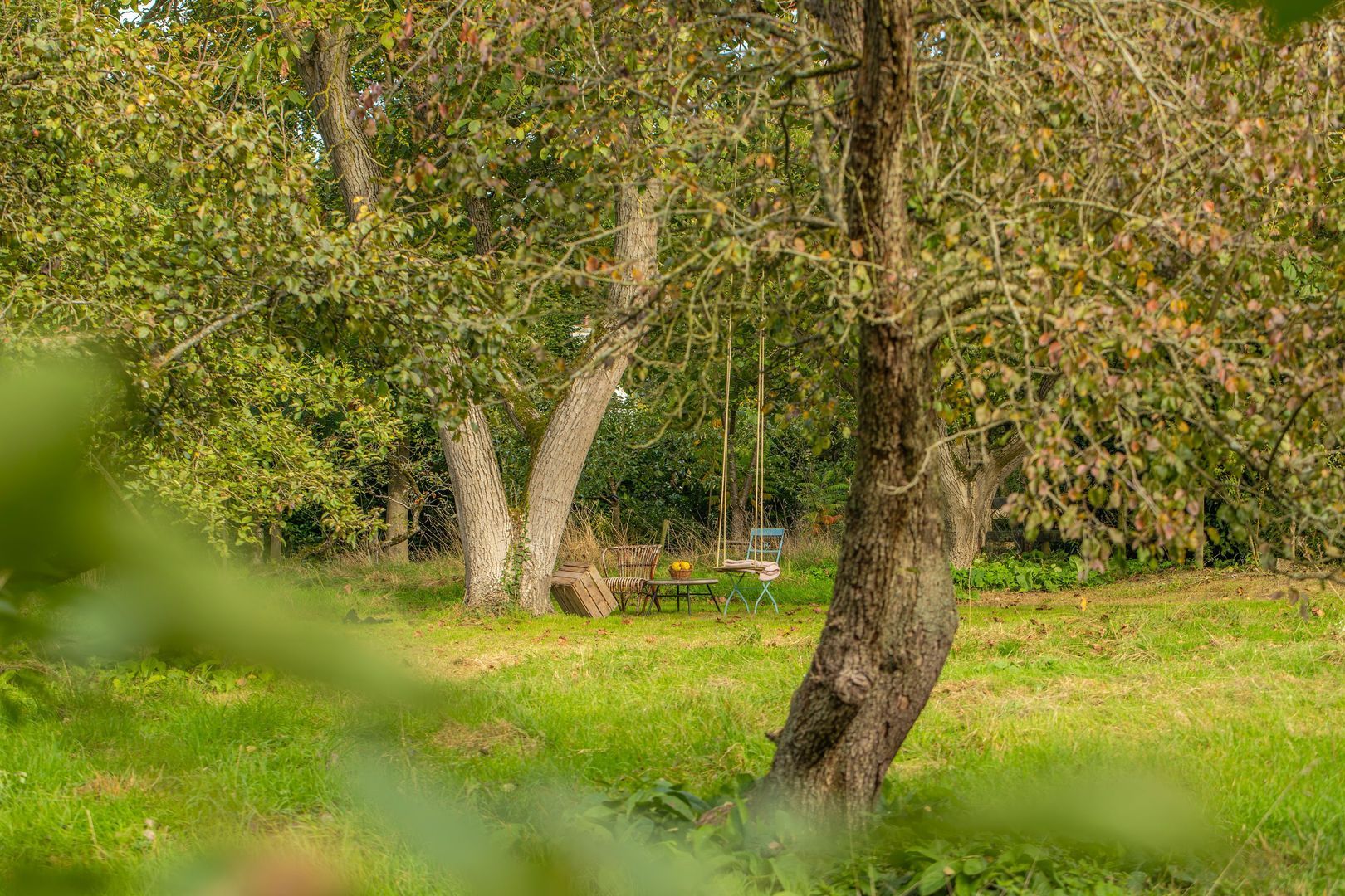 Veerweg 2, Oosterbeek foto-55