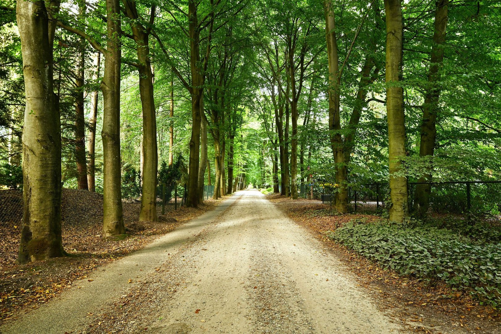 Buunderkamp 9, Wolfheze foto-55