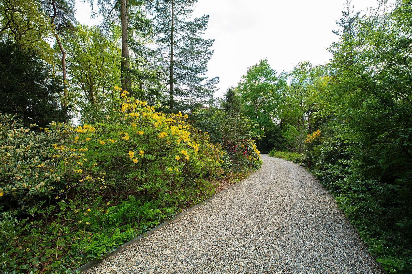 Zonneheuvelweg 26, Oosterbeek foto-98