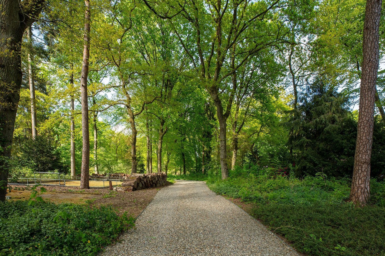 Zonneheuvelweg 26, Oosterbeek foto-99