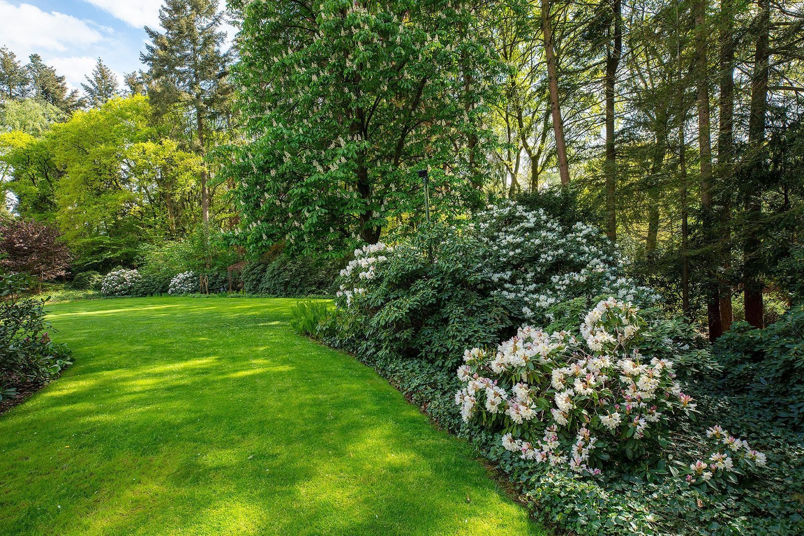 Zonneheuvelweg 26, Oosterbeek foto-28