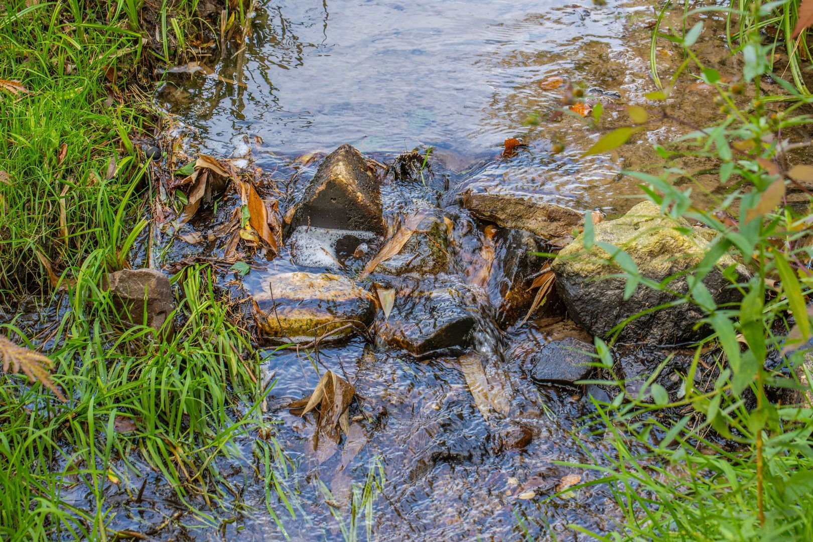 Veerweg 2, Oosterbeek foto-47