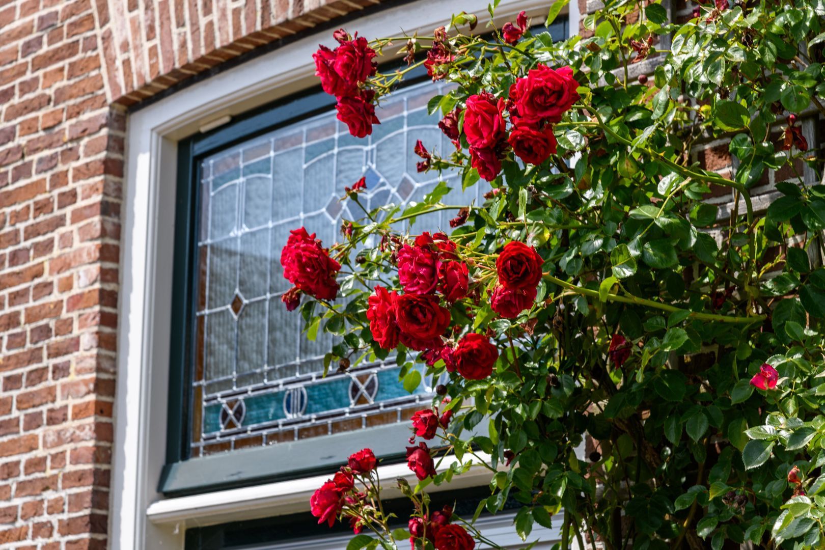 Tjaerdawei 20, Rinsumageast foto-4