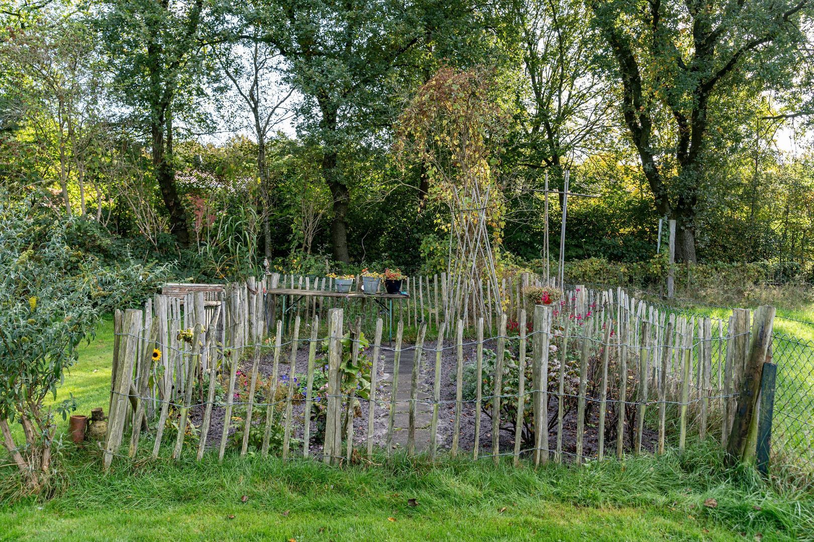 Boerestreek 18, Kortehemmen foto-61