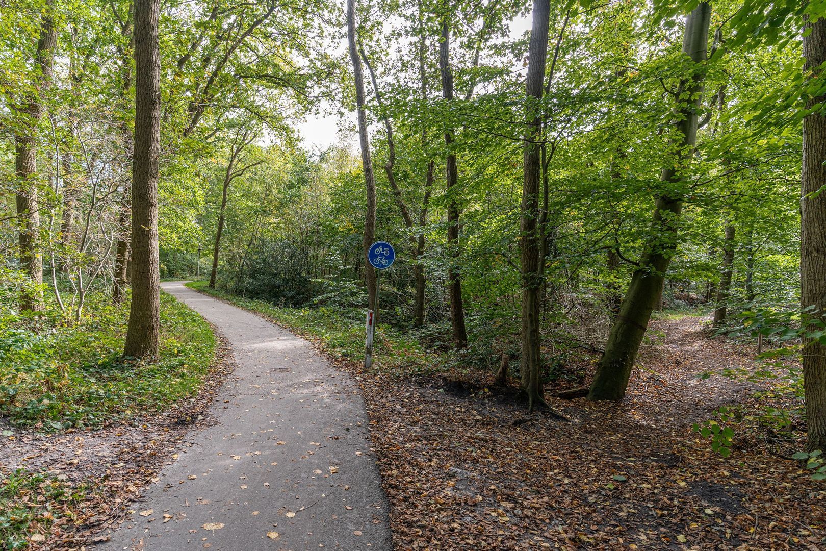 Boerestreek 18, Kortehemmen foto-66