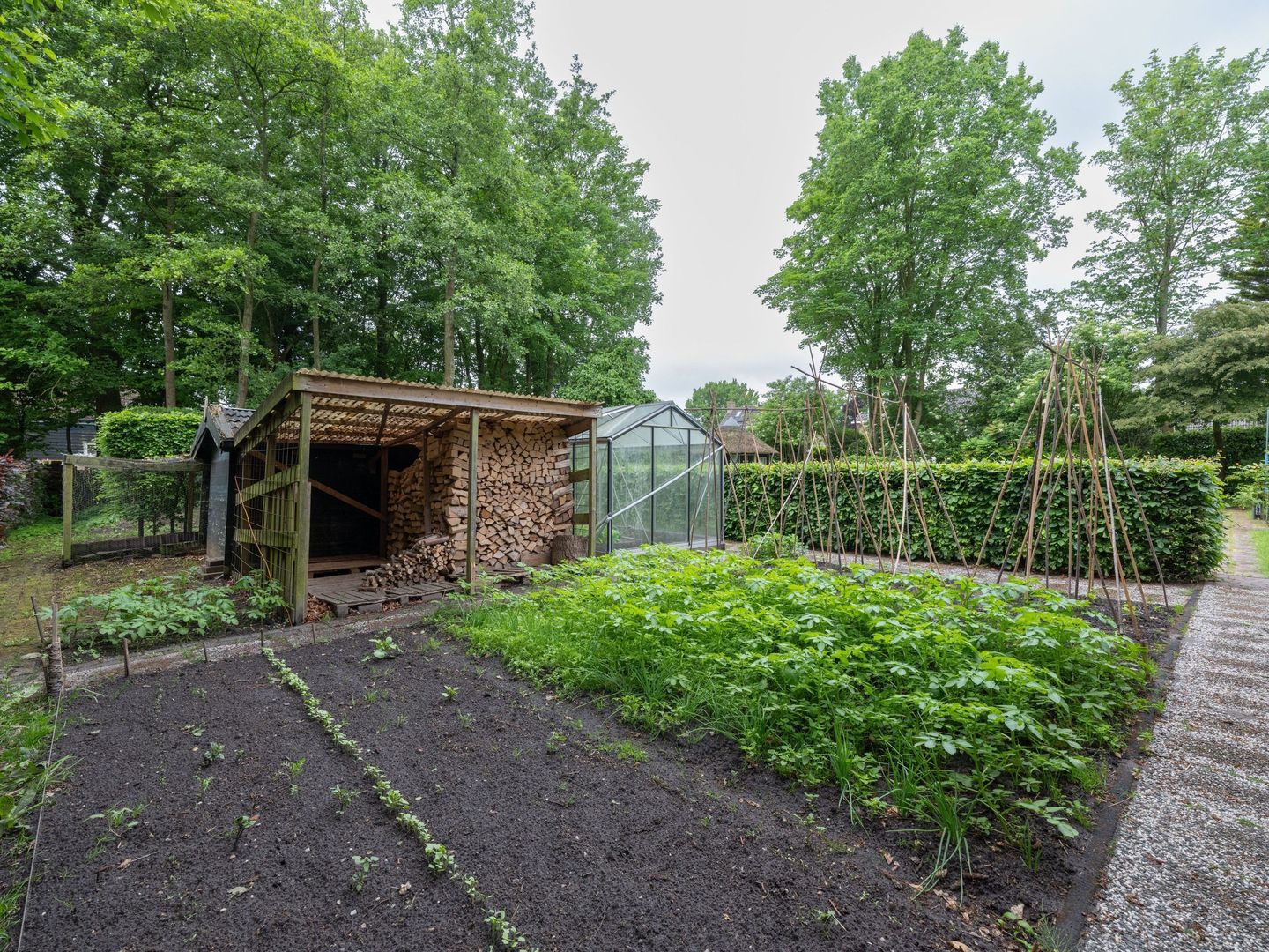 Alde Wei 2, Drachtstercompagnie foto-60