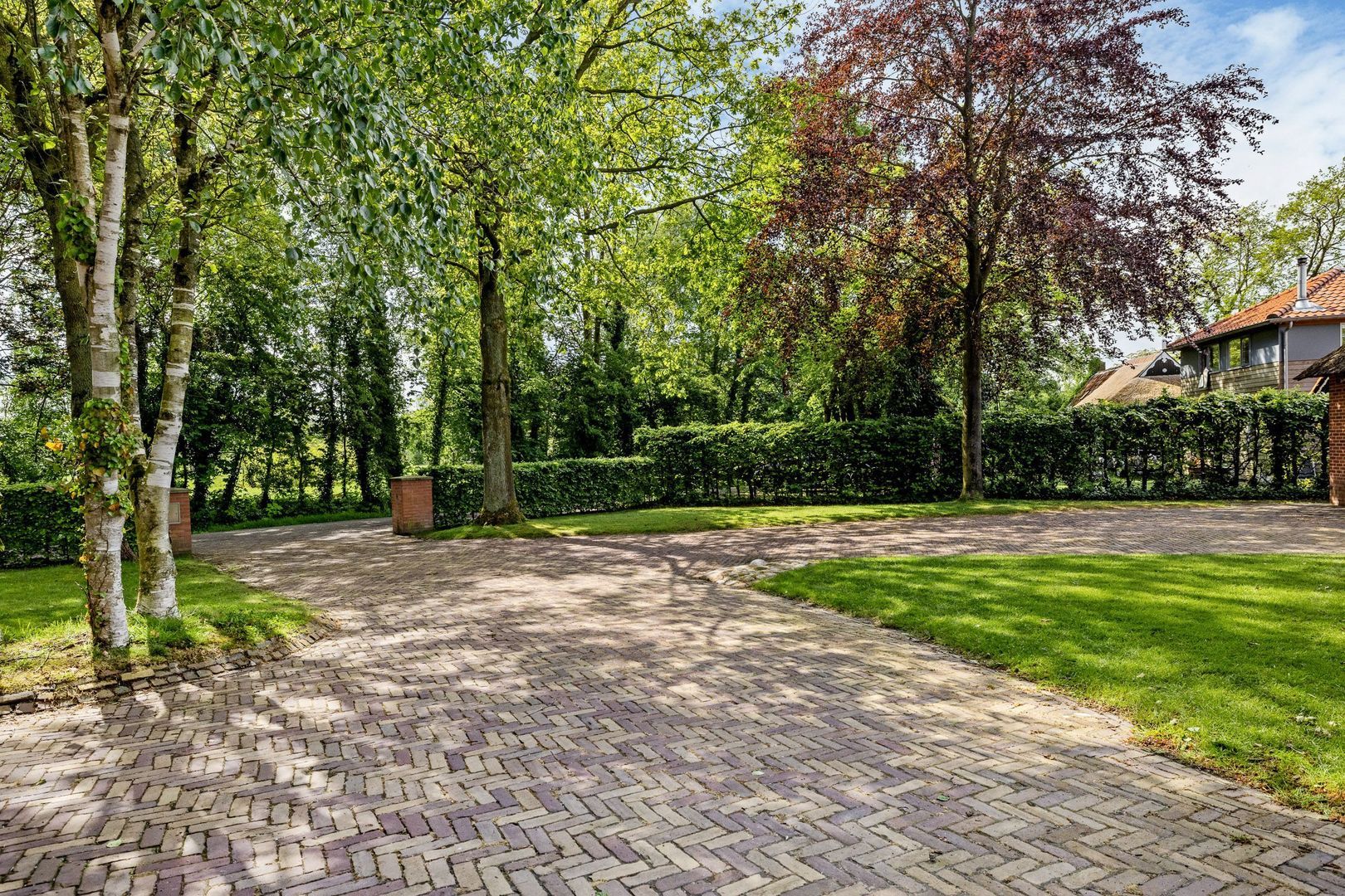 Allemawei 3, Aldwâld foto-98