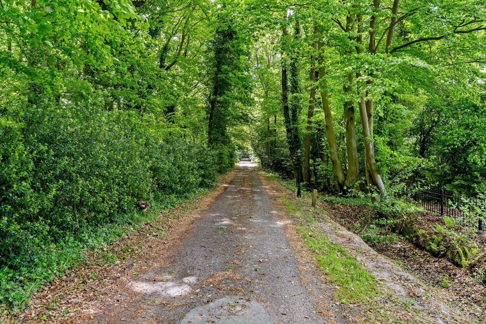 Slotleane 2, Bakkeveen foto-12