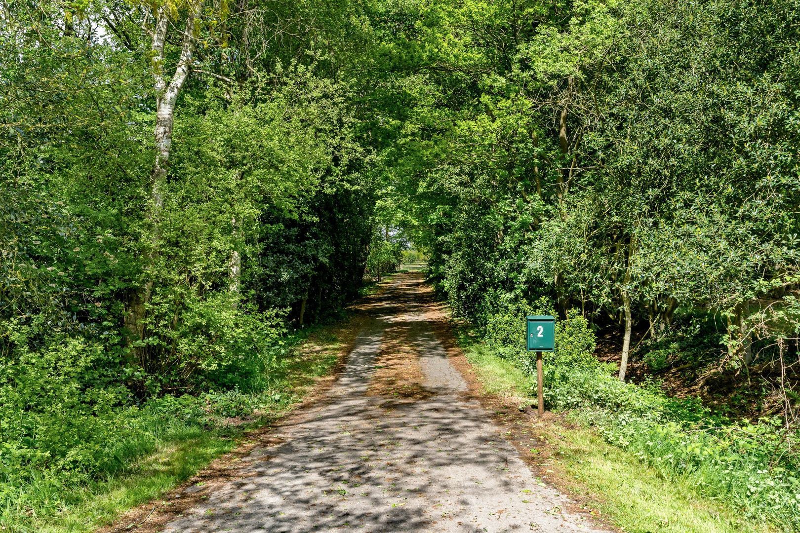 Slotleane 2, Bakkeveen foto-91