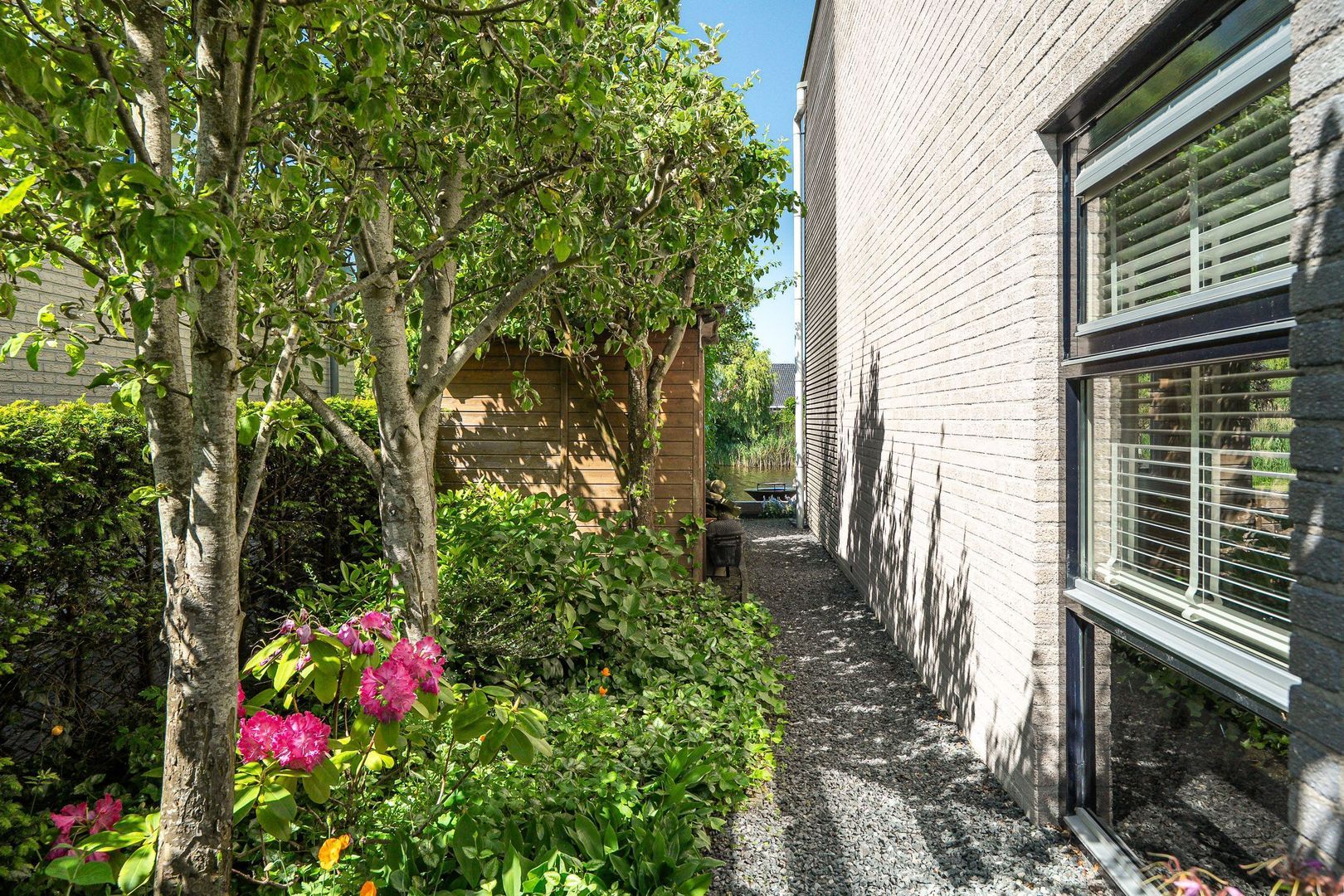 Broekfinne 38, De Wilgen foto-85