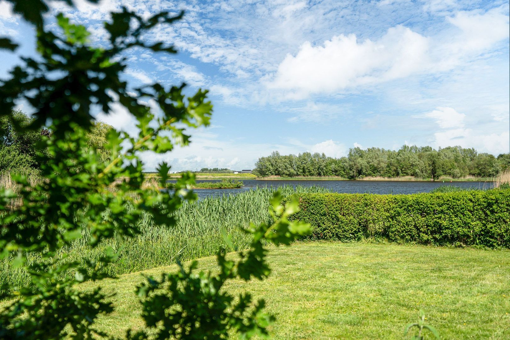 Broekfinne 38, De Wilgen foto-67