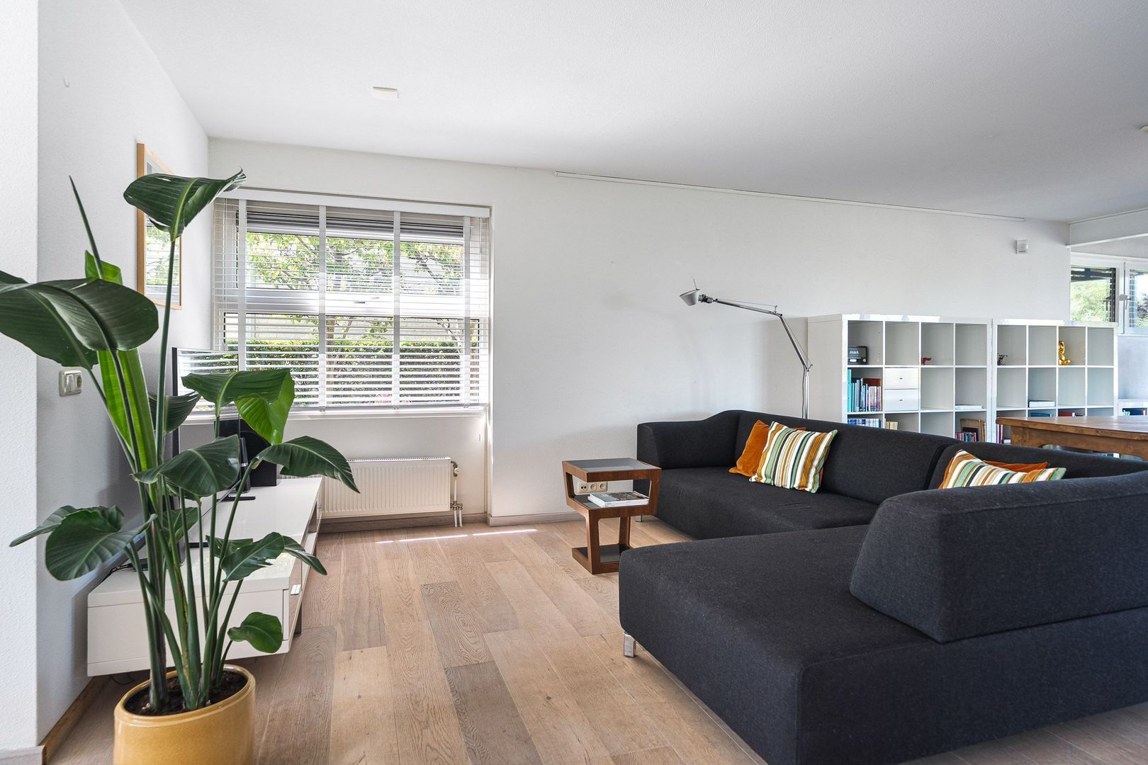 Broekfinne 38, De Wilgen foto-21
