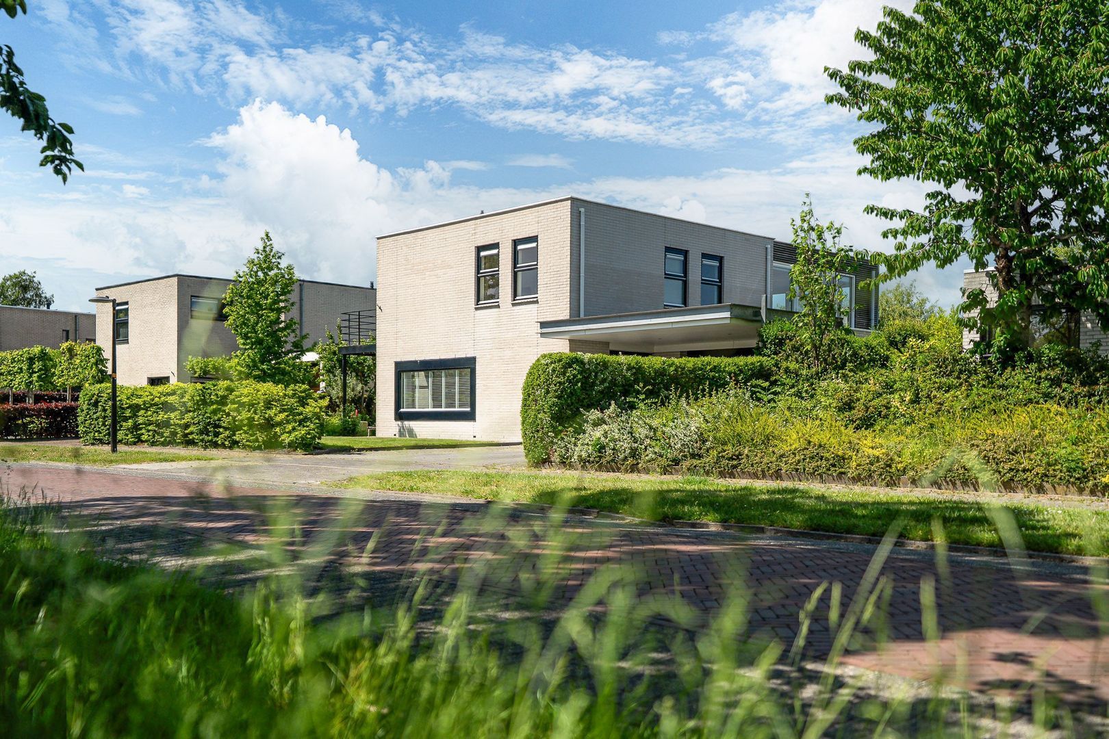 Broekfinne 38, De Wilgen foto-64