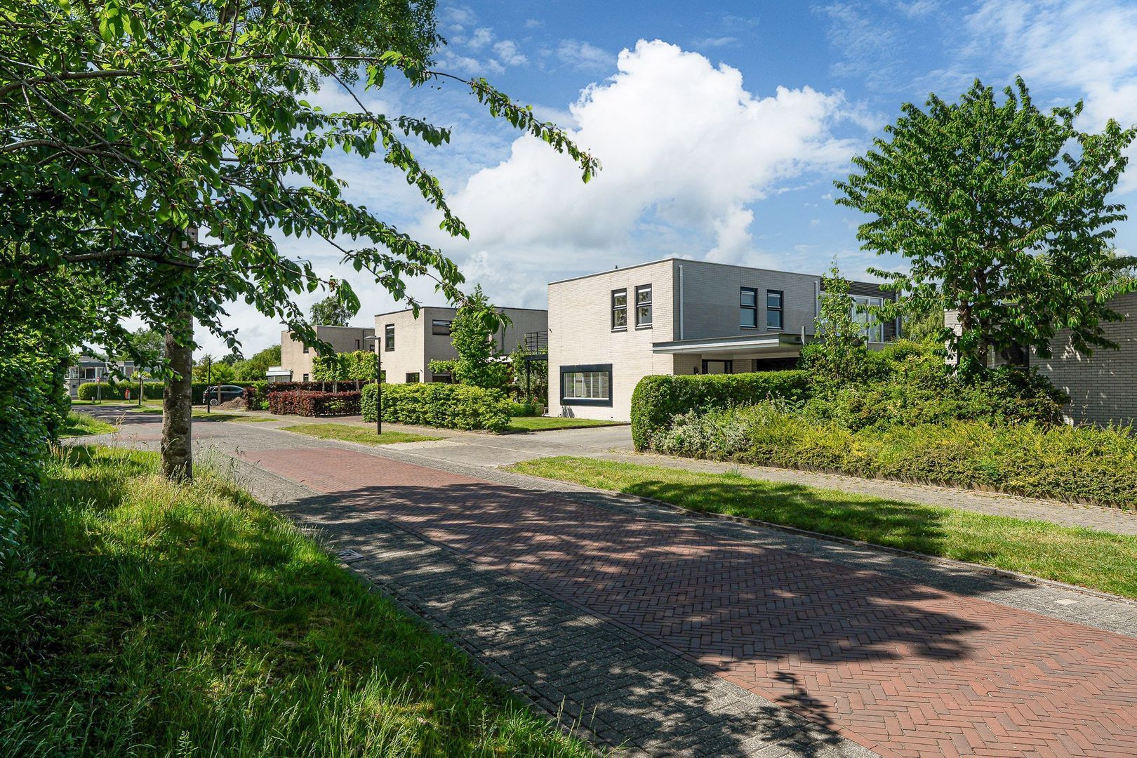 Broekfinne 38, De Wilgen foto-61