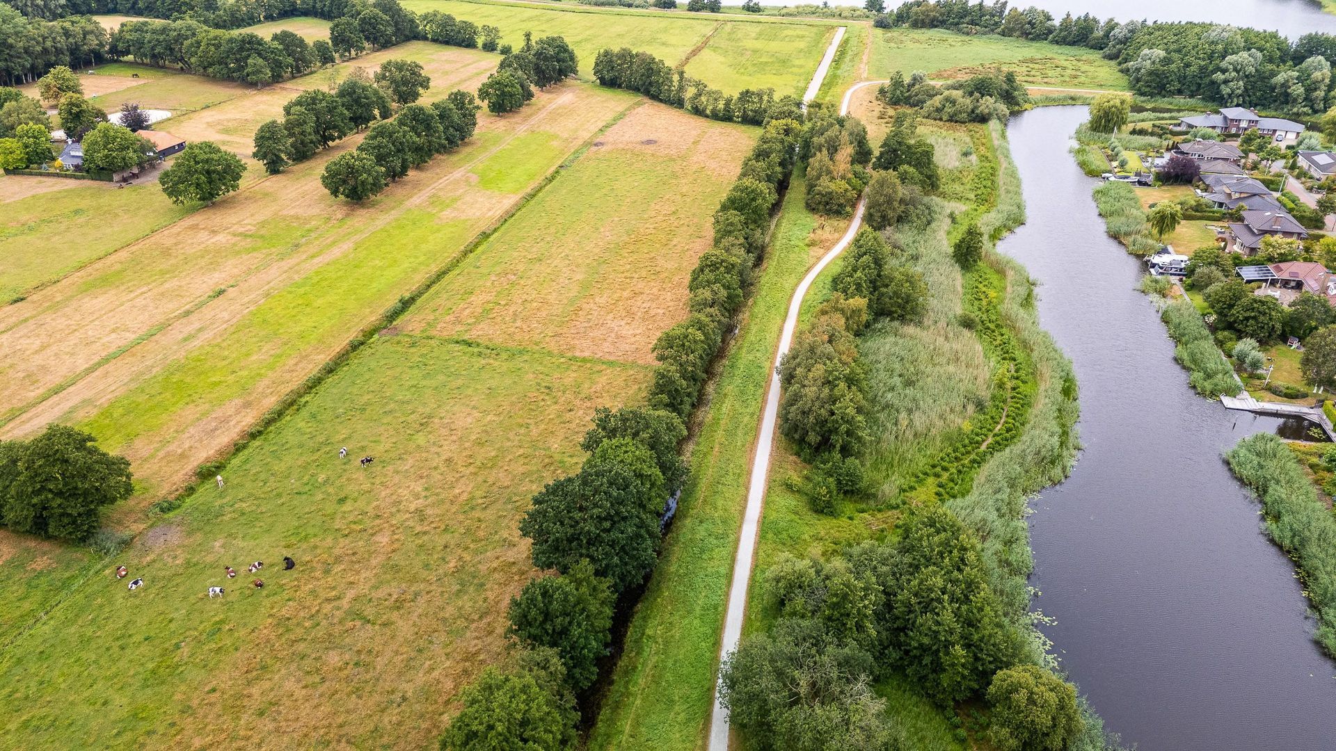 Nachtlân 86, De Wilgen foto-86