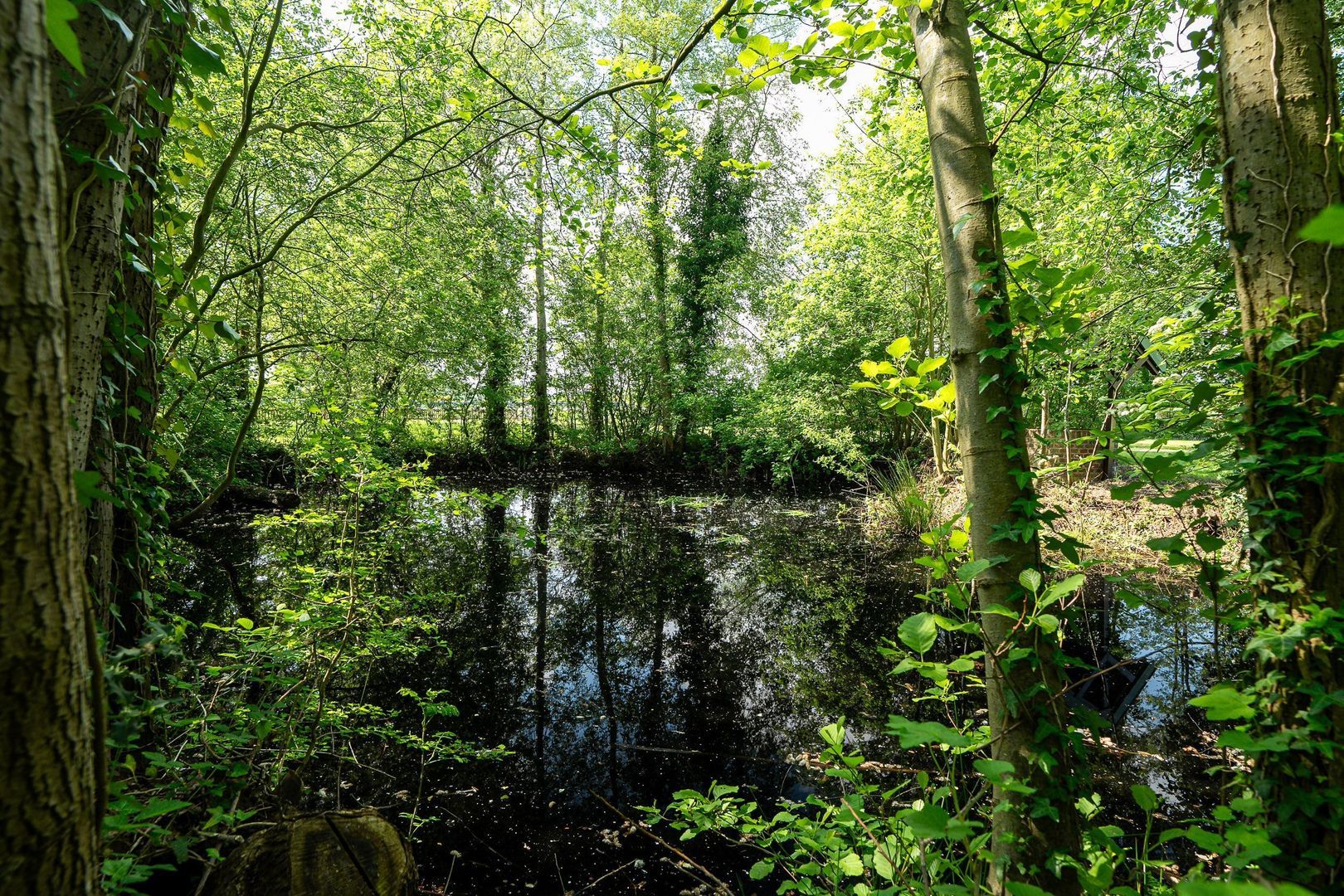 Duistereweg 23, Oosterwolde foto-5