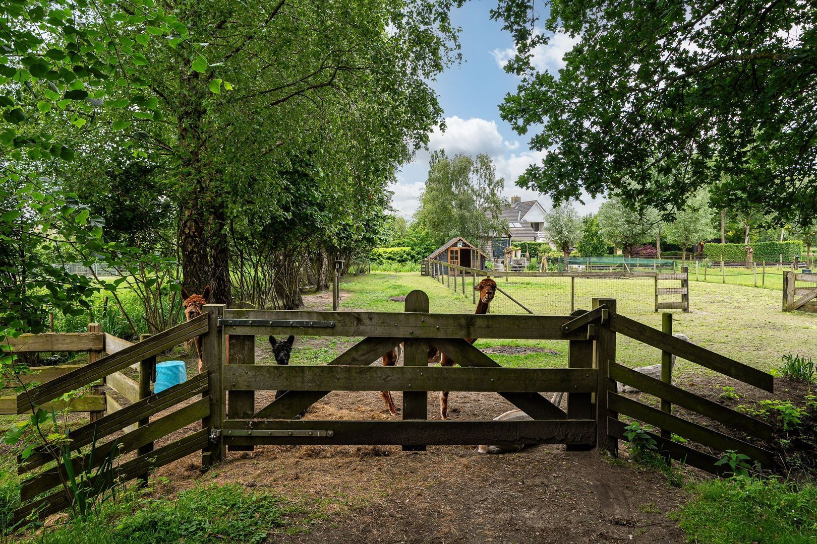 Hoge Zomerdijk 9, Joure foto-27