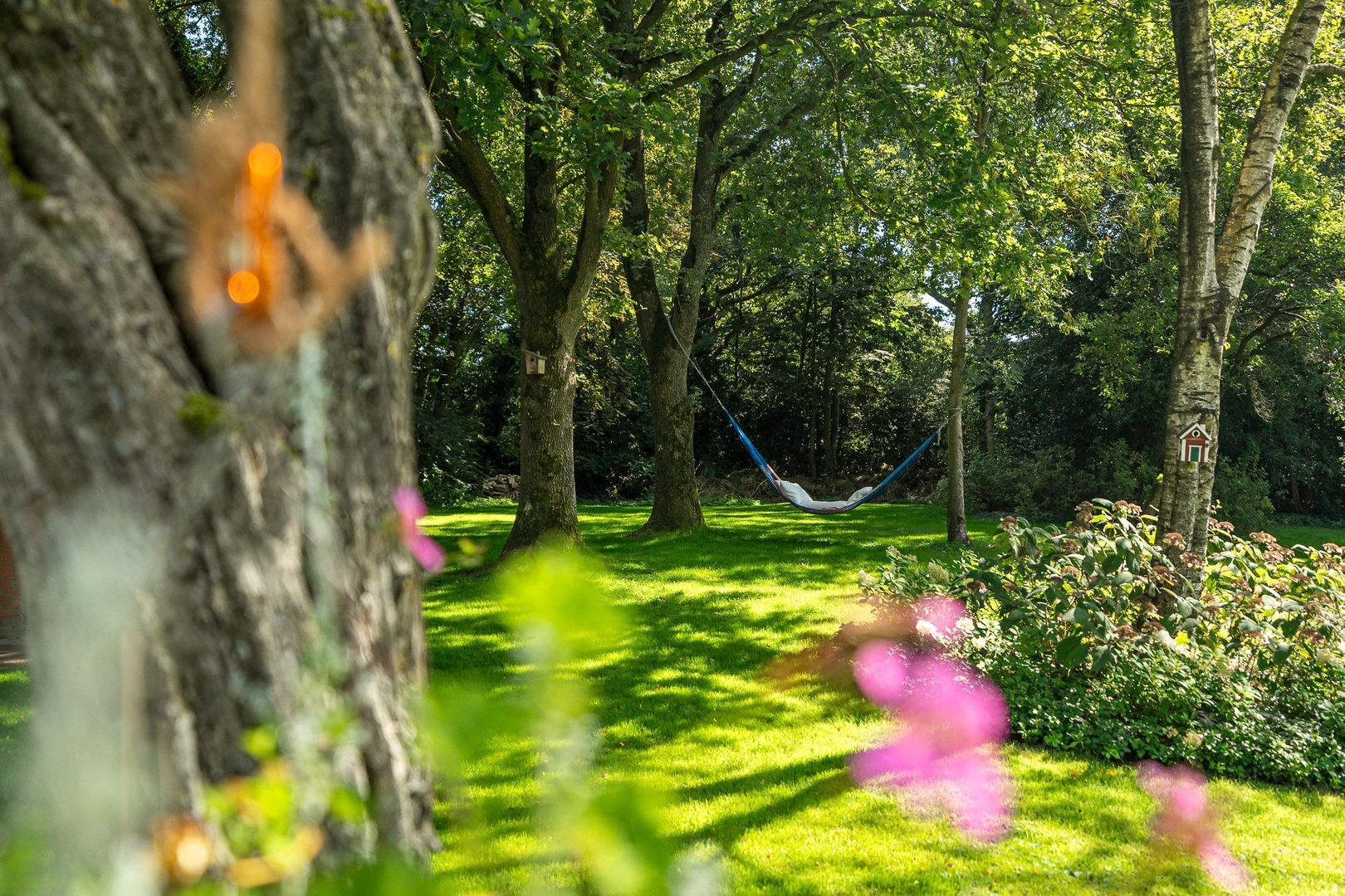 Schuinpad 38, Oldeberkoop foto-72